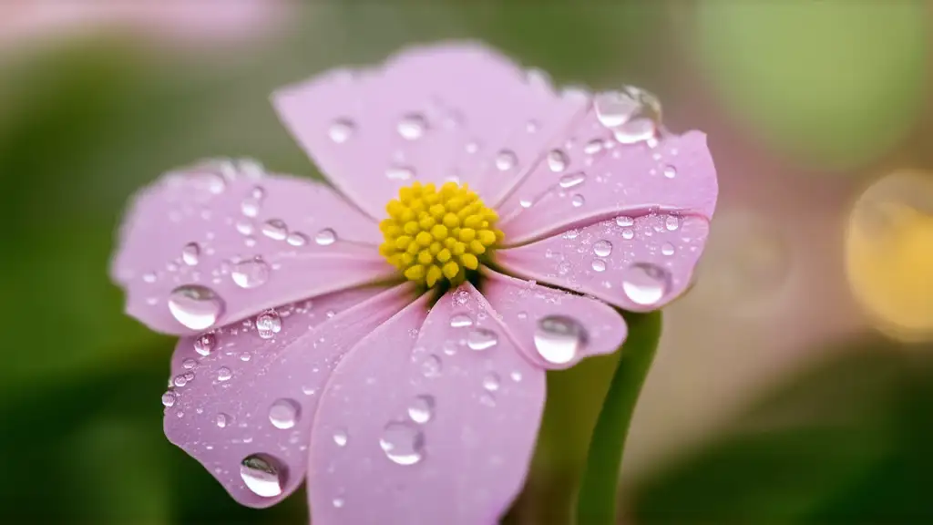 Urgent Update: AI Overviews Slash Clicks by 58% – Adapt Now!